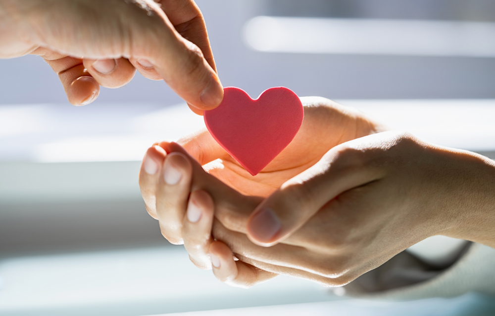 Contribua Doe Arrecadação Casa Espírita Casa Espiritualista São Leopoldo Fraternidade Estrela Íris